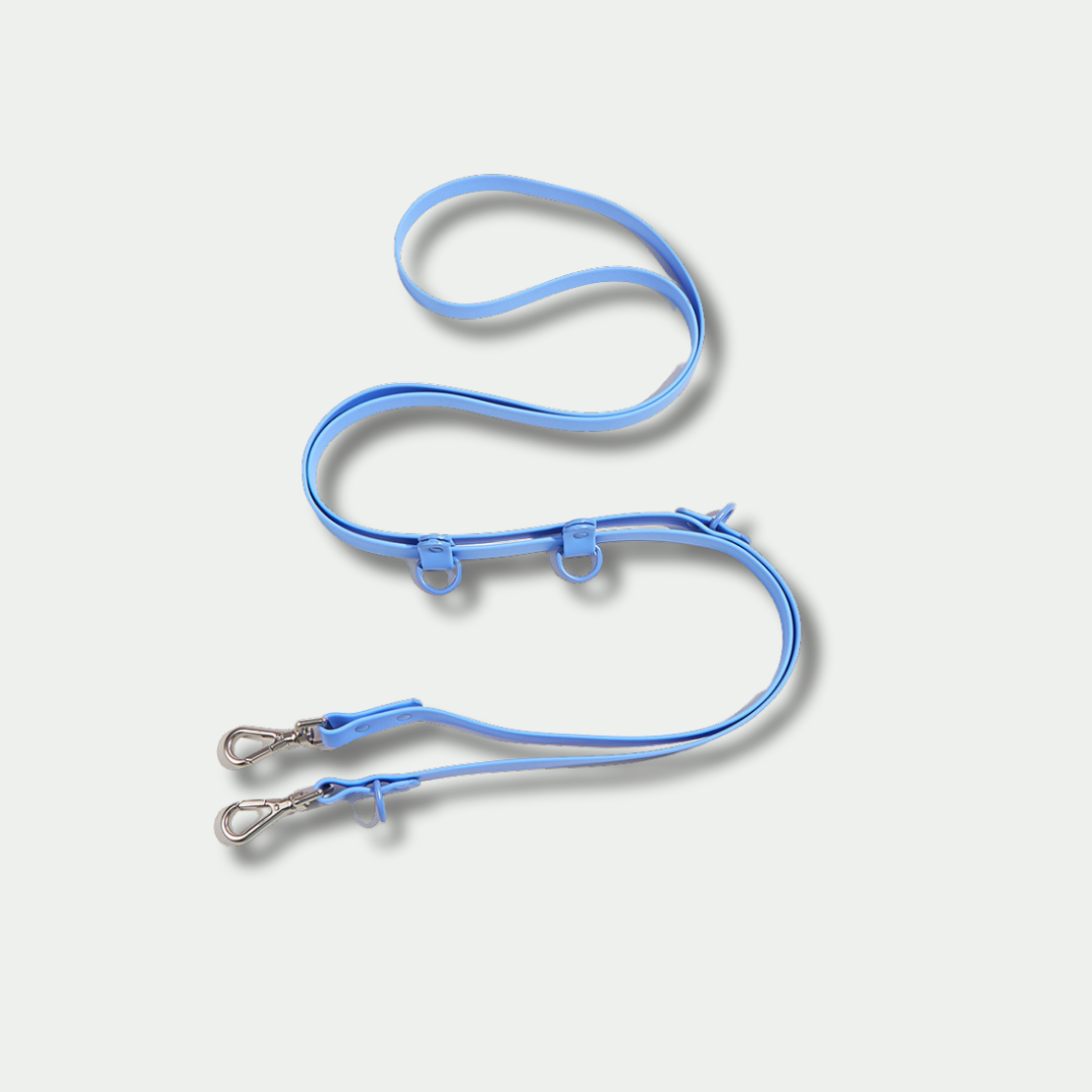 Classic Hands-free Dog Leash