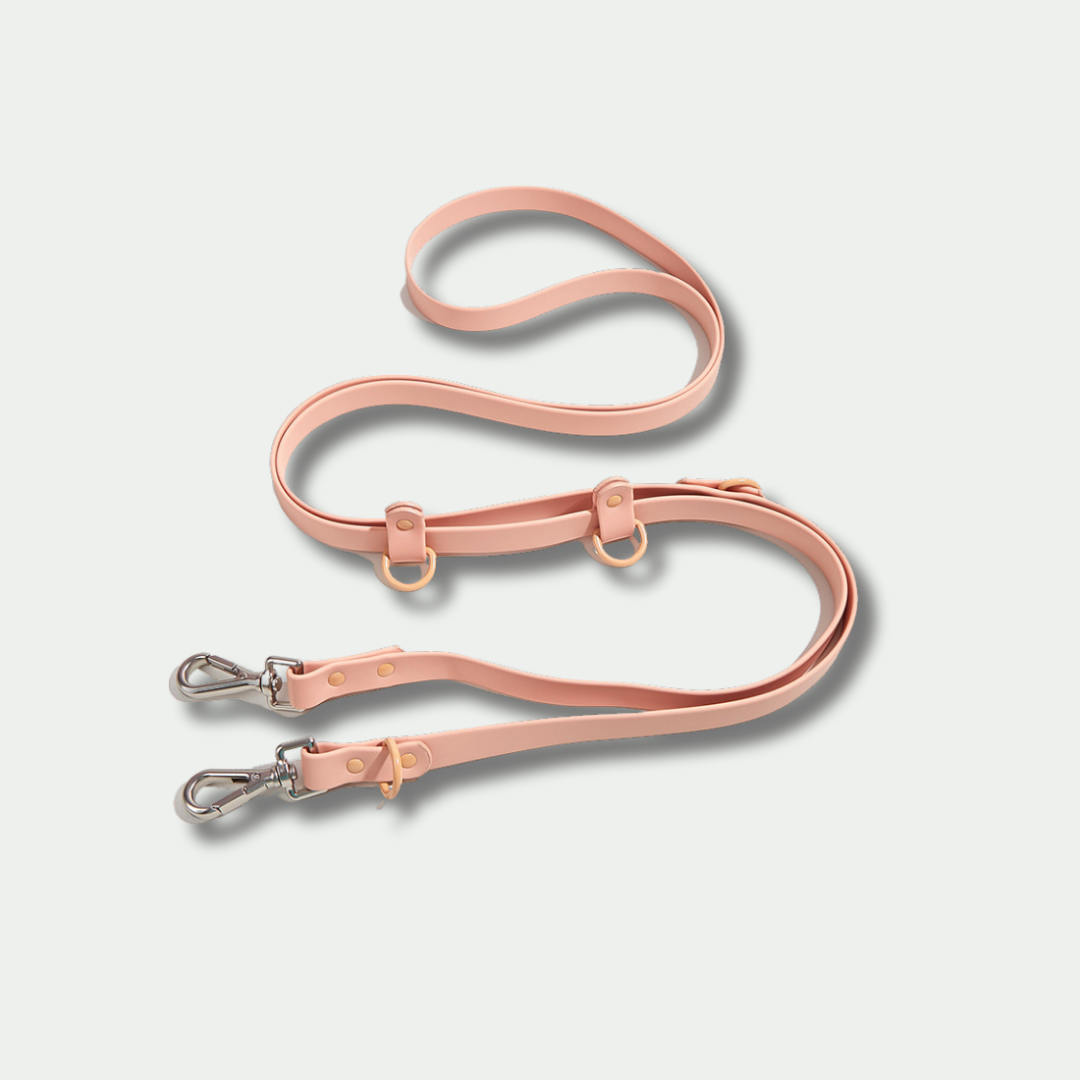 Classic Hands-free Dog Leash