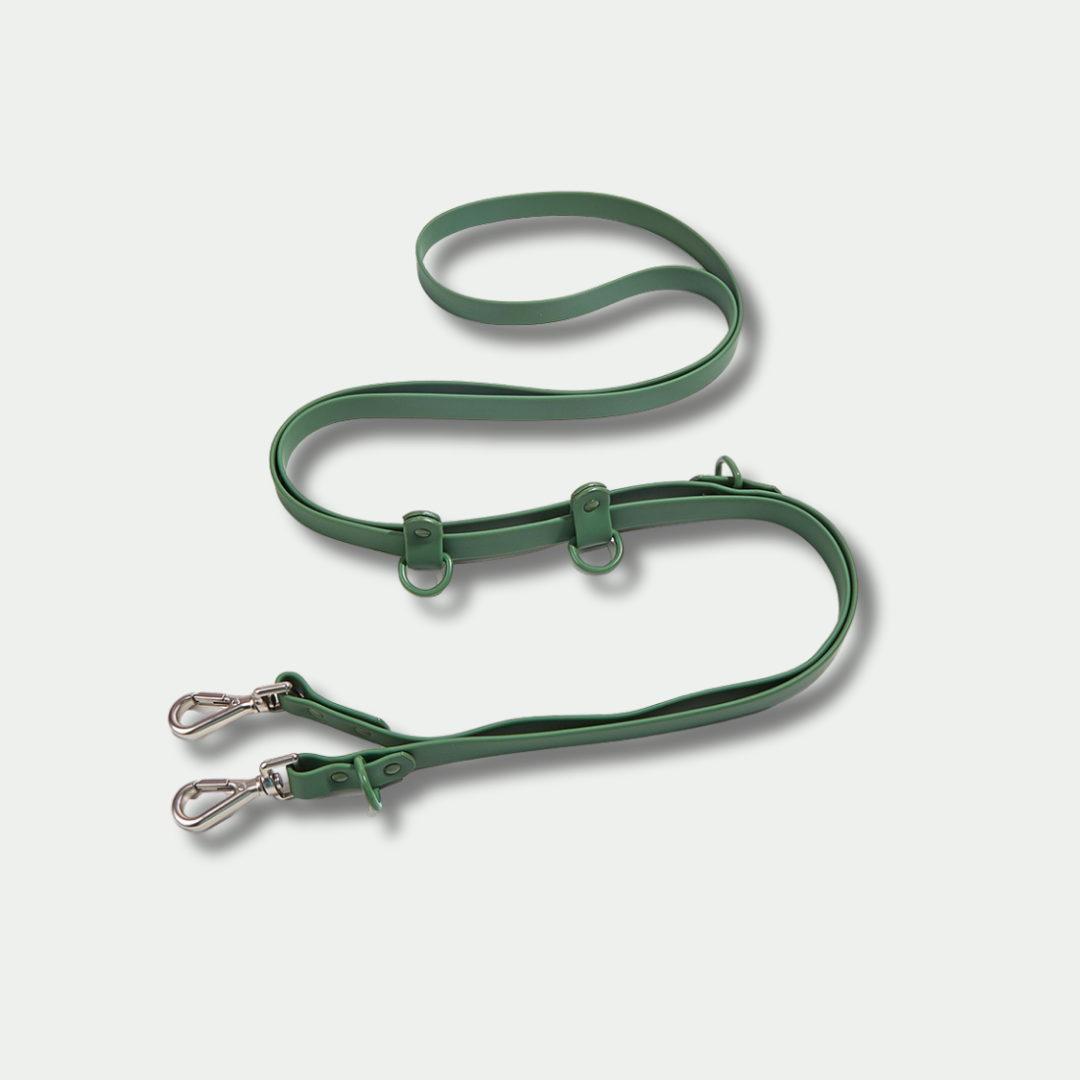 Classic Hands-free Dog Leash