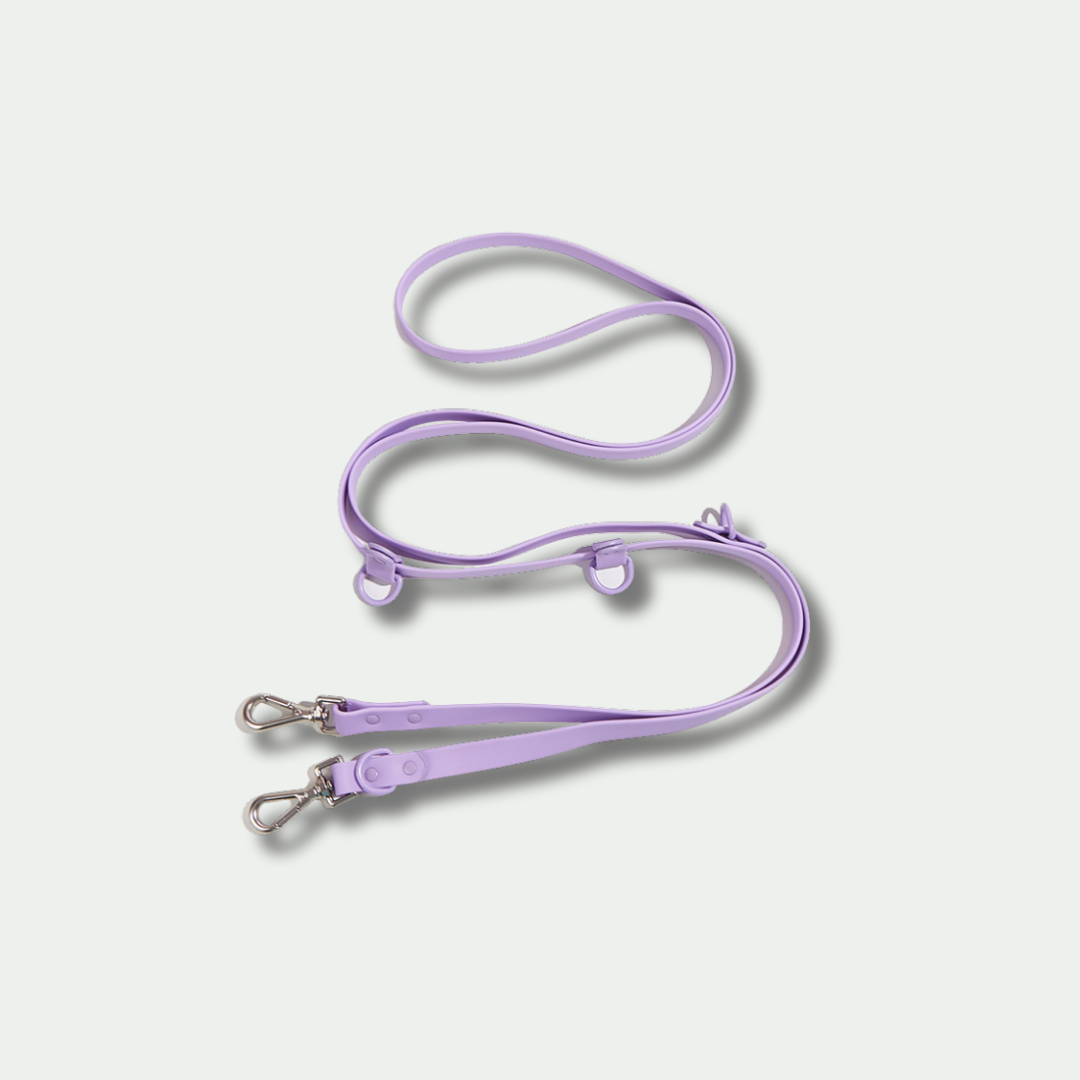 Classic Hands-free Dog Leash