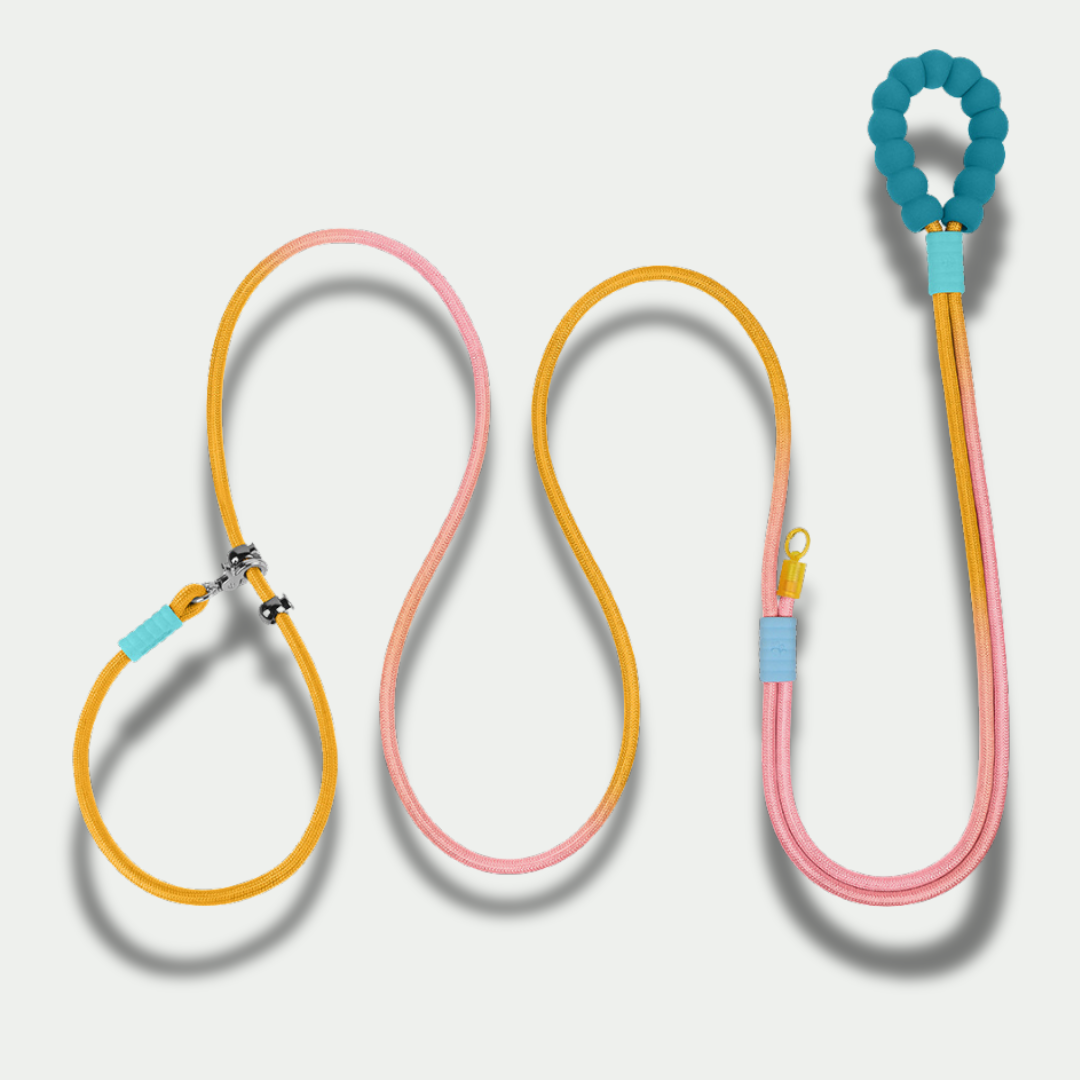 XL Hands-Free Leash