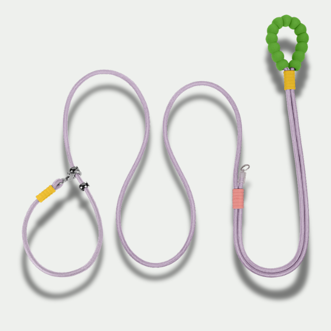 XL Hands-Free Leash