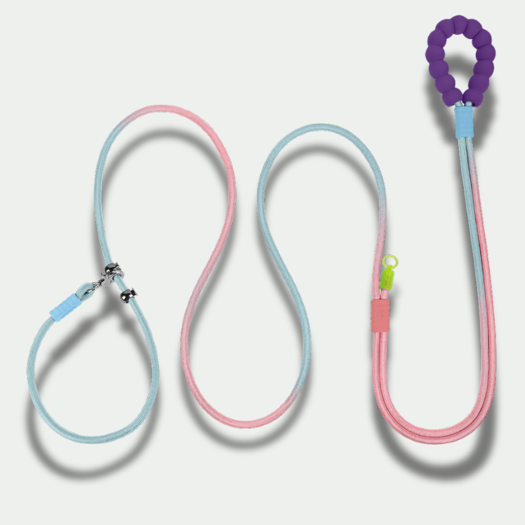XL Hands-Free Leash