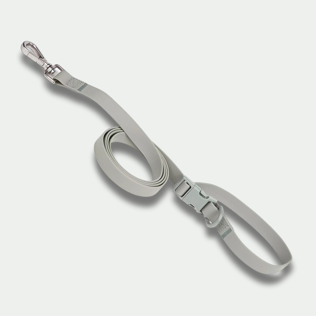 Multipurpose Handsfree Leash