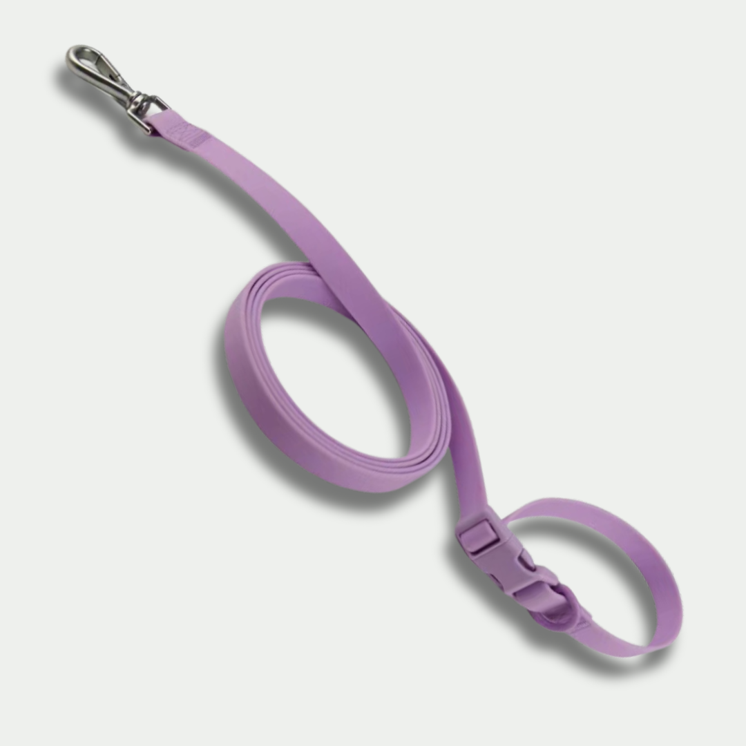 Multipurpose Handsfree Leash