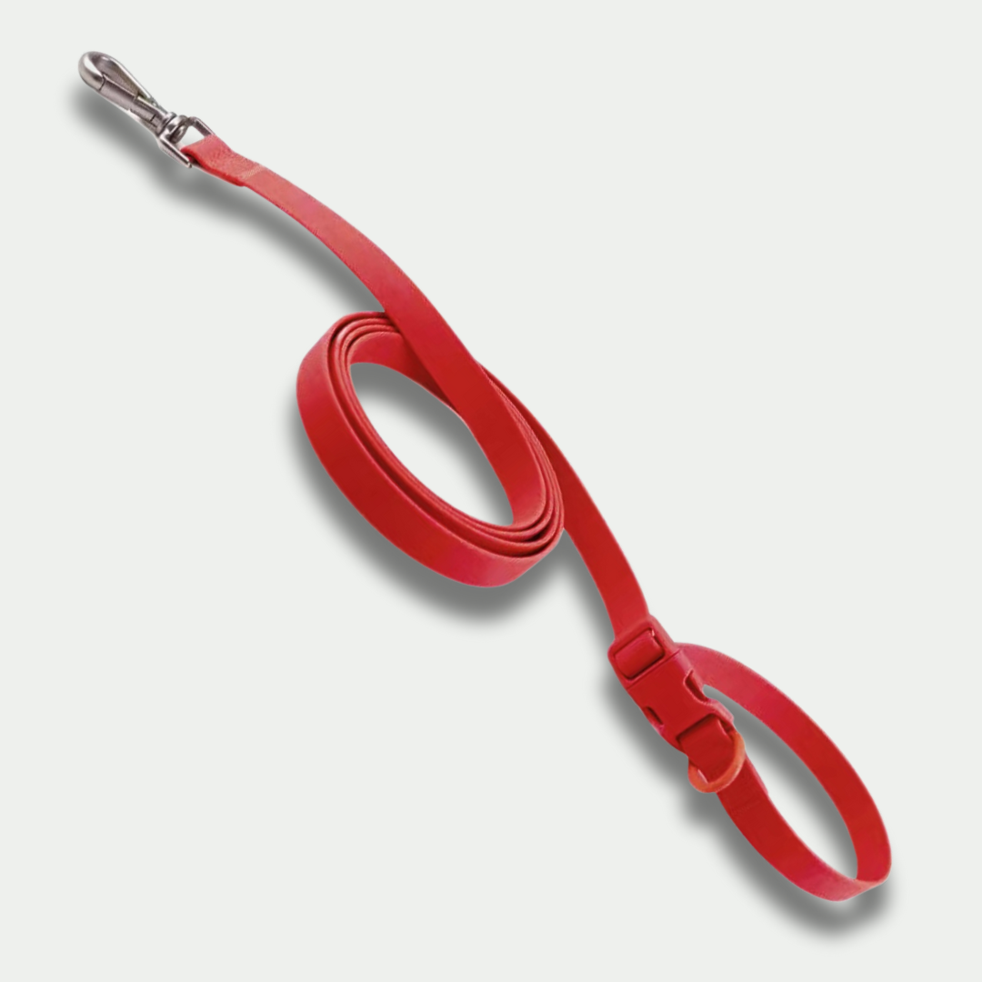Multipurpose Handsfree Leash