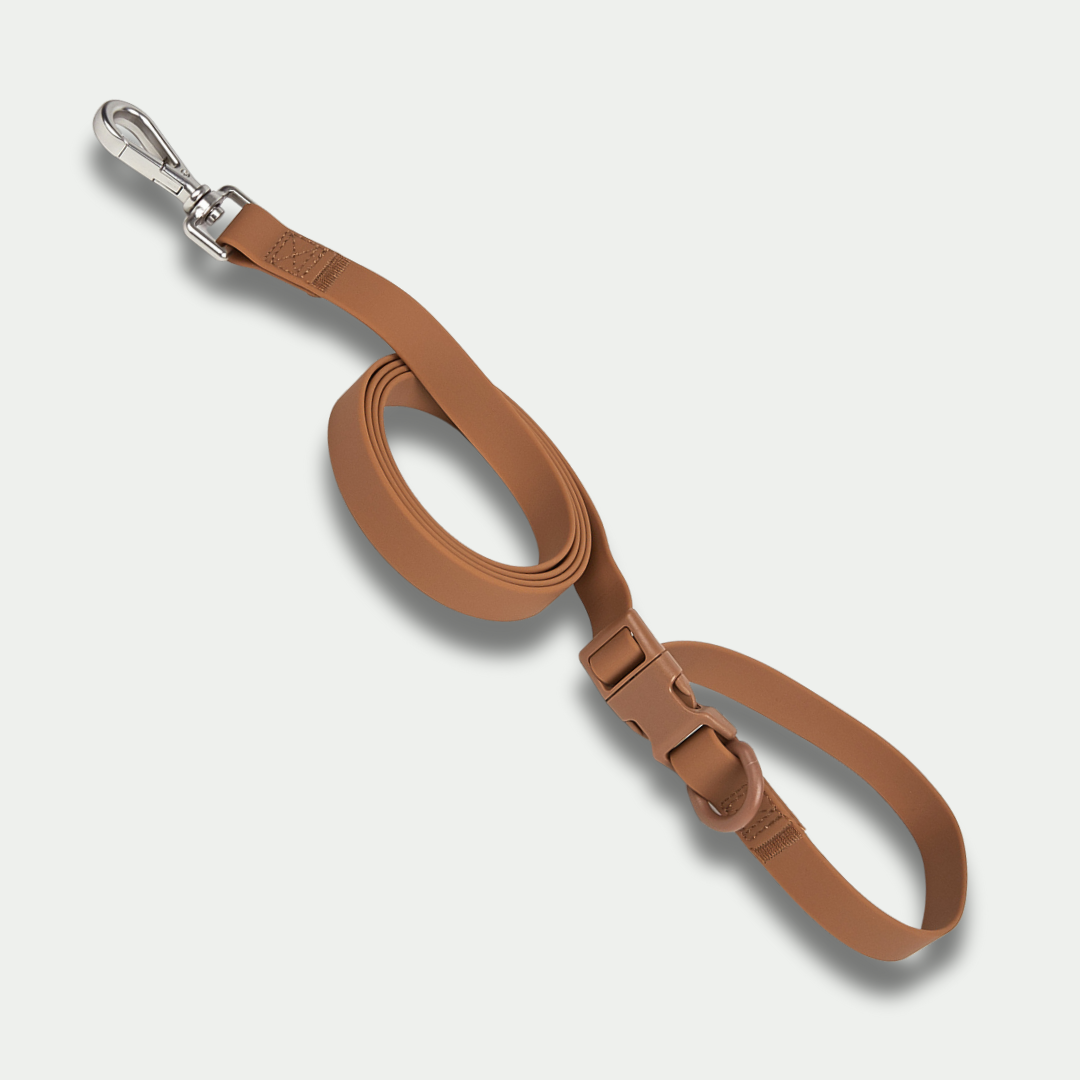 Multipurpose Handsfree Leash