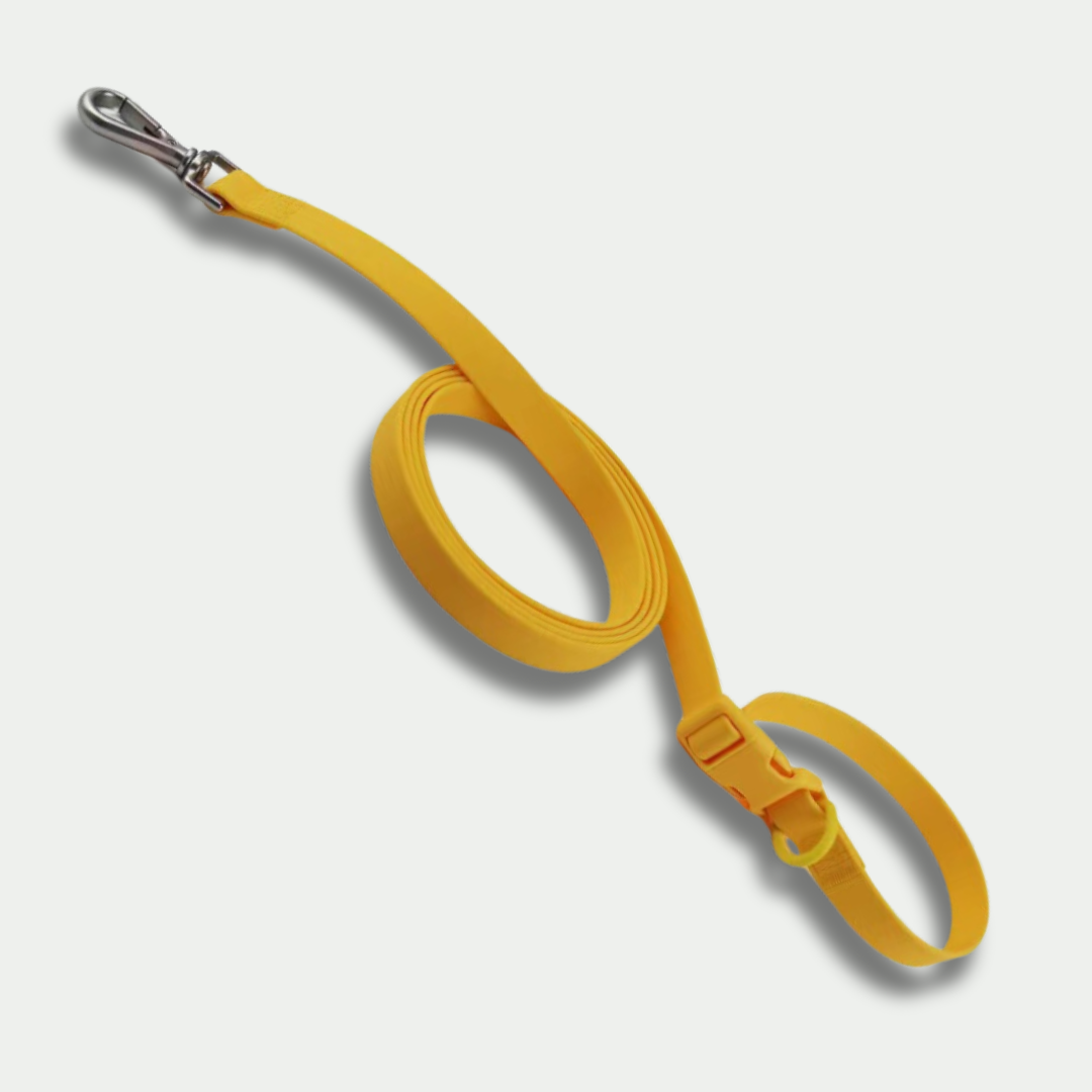 Multipurpose Handsfree Leash