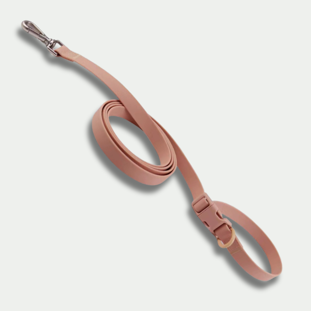 Multipurpose Handsfree Leash