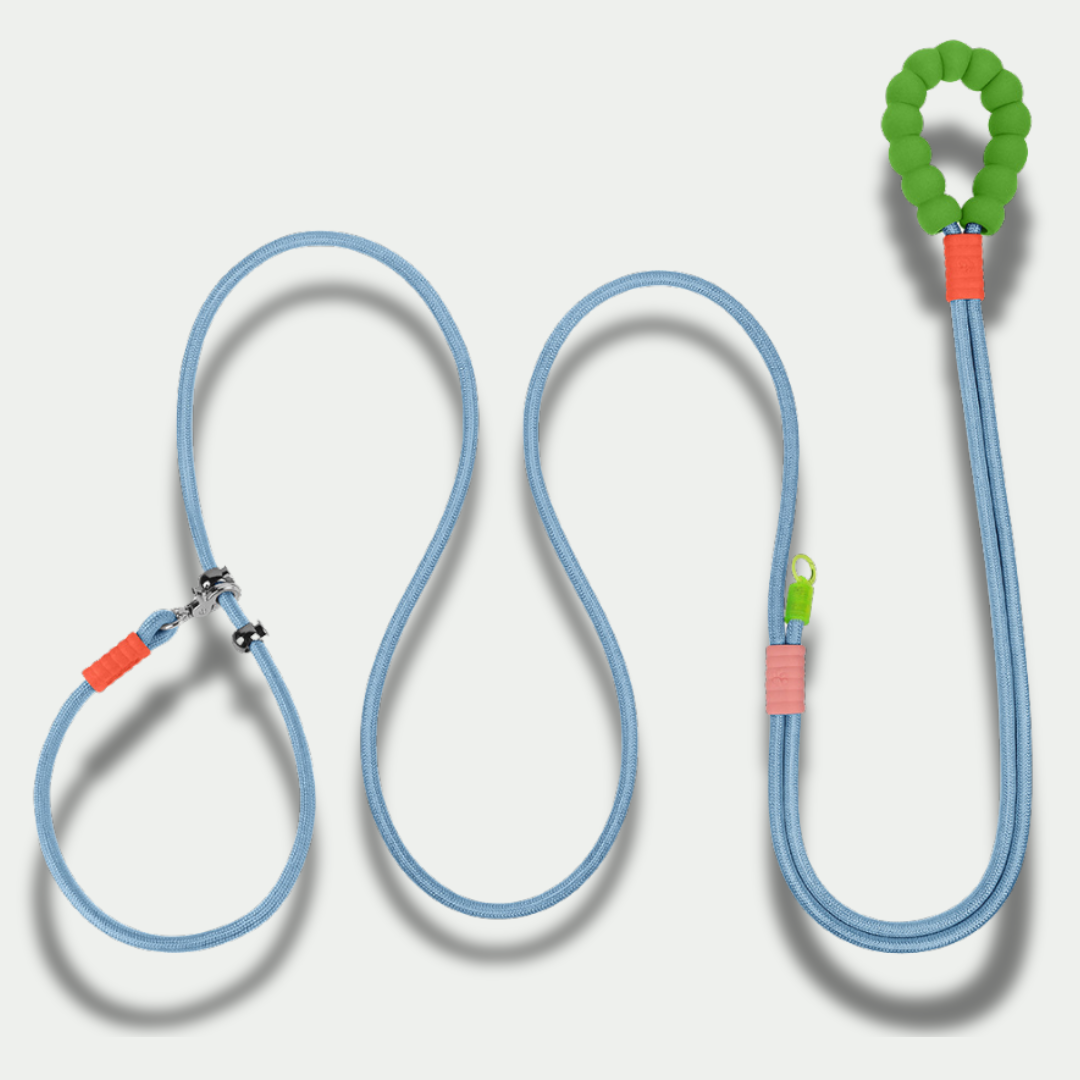 XL Hands-Free Leash