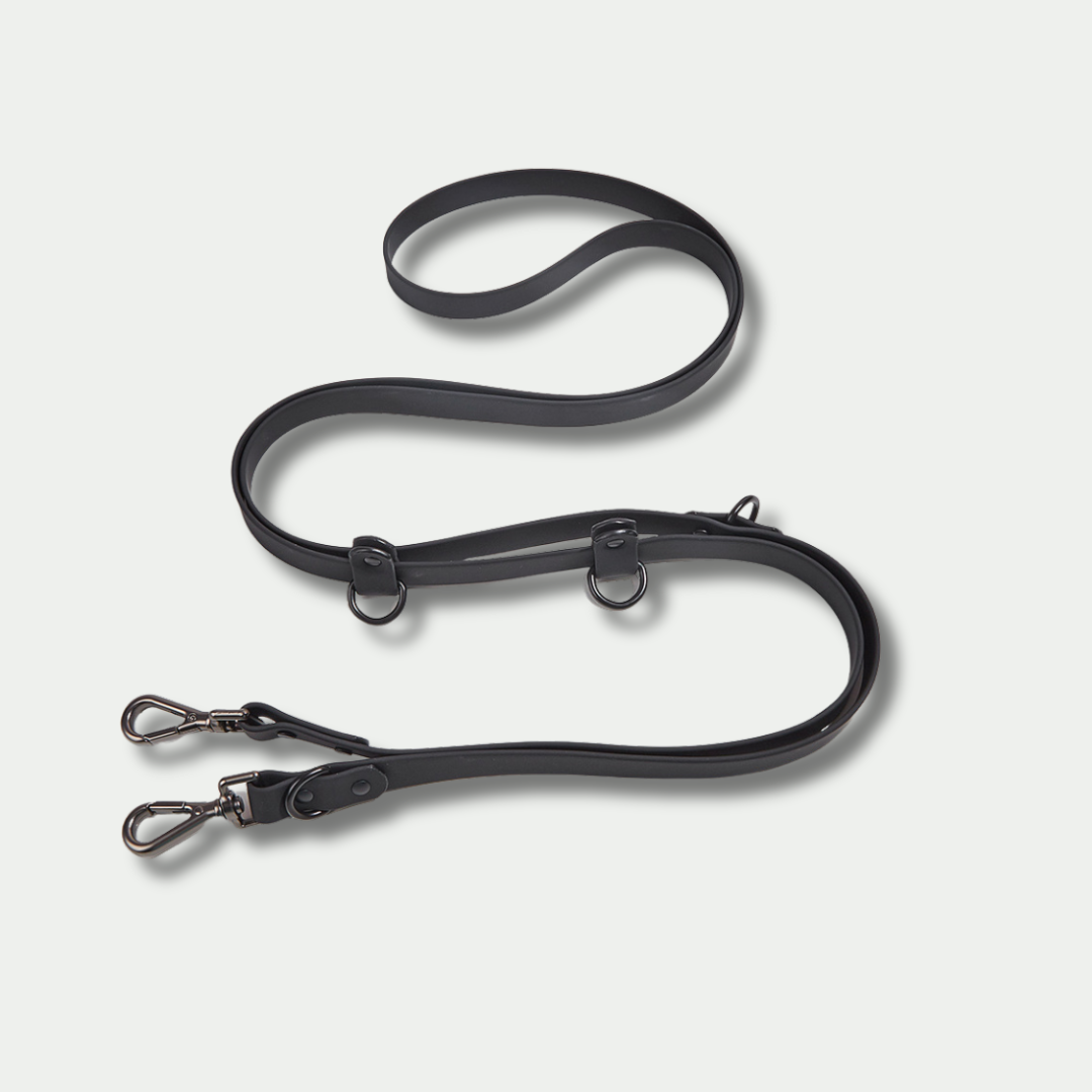 Classic Hands-free Dog Leash