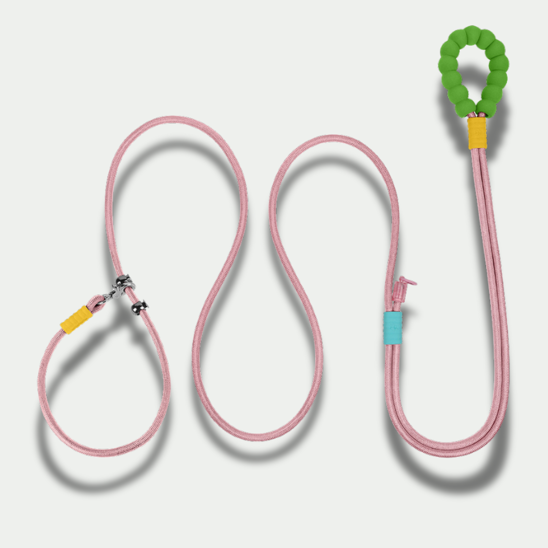 XL Hands-Free Leash