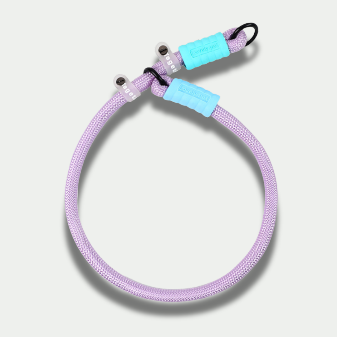 Nylon Collar