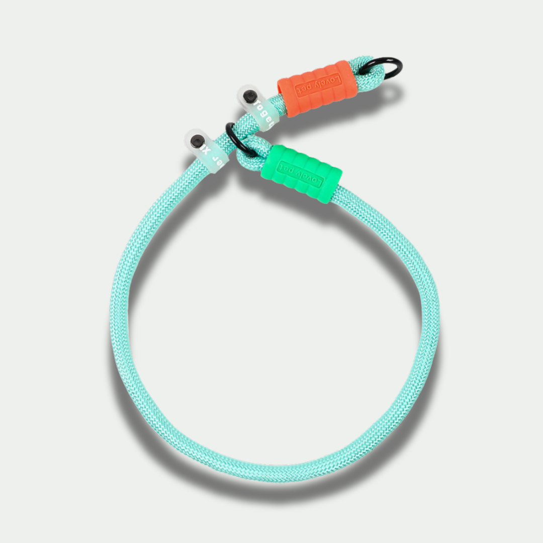 Nylon Collar