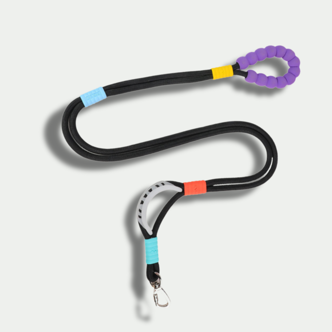 Hands-Free Nylon Leash