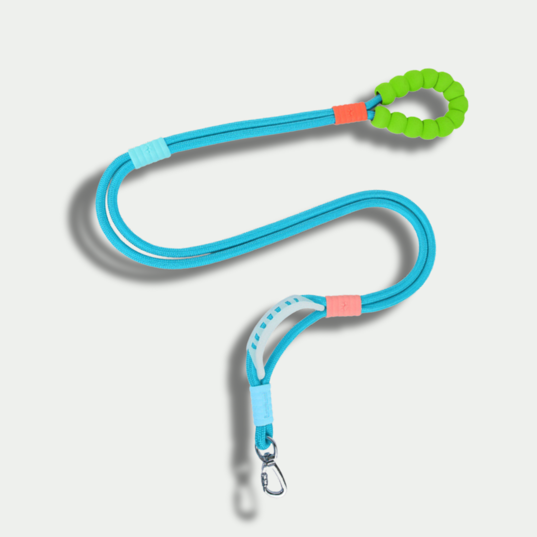 Hands-Free Nylon Leash