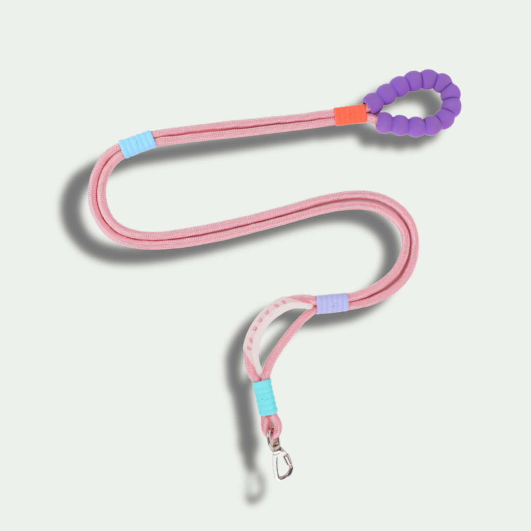 Hands-Free Nylon Leash