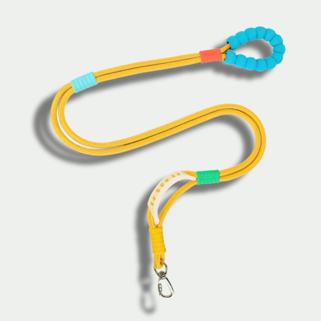Hands-Free Nylon Leash