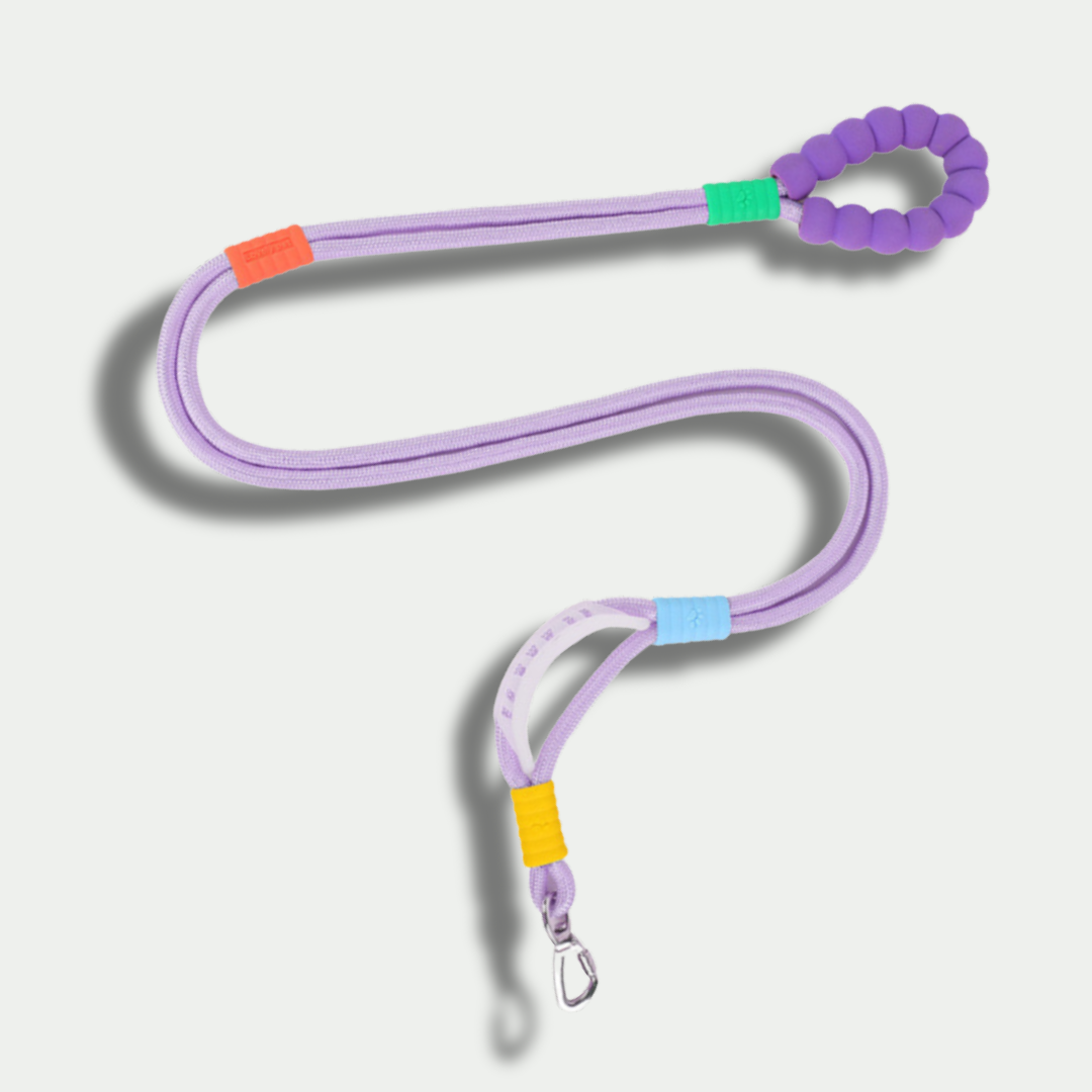 Hands-Free Nylon Leash