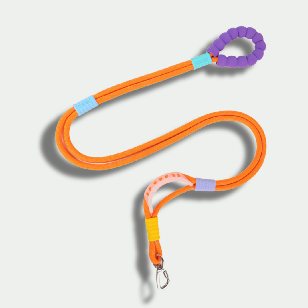 Hands-Free Nylon Leash