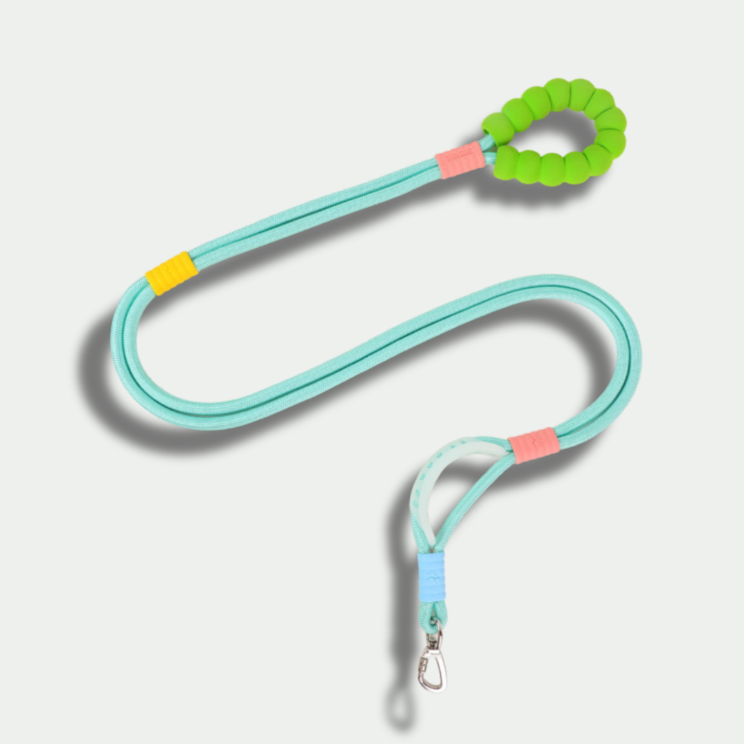 Hands-Free Nylon Leash