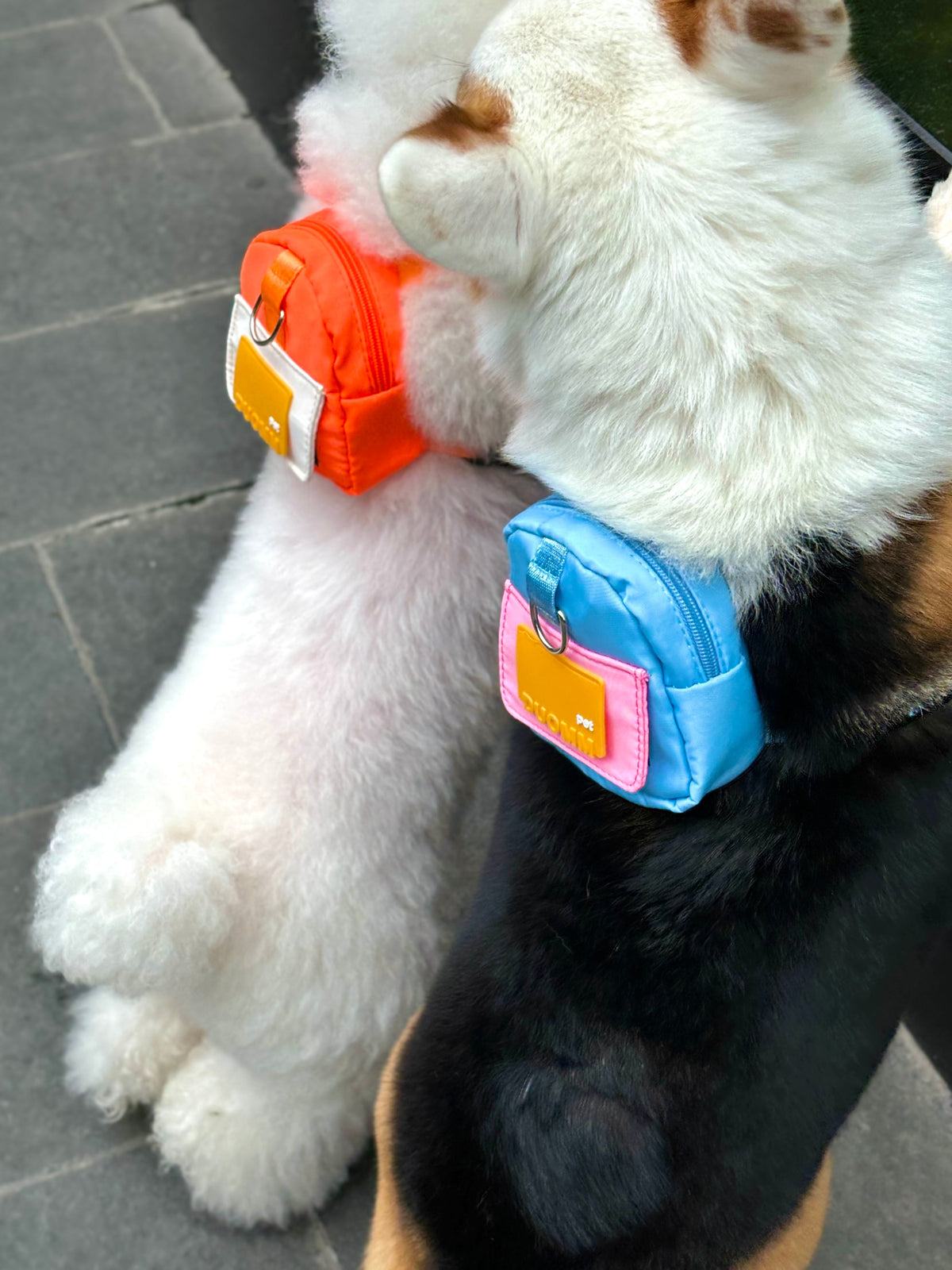Is Your Dog a Little Helper? Meet the Backpack Every Pup Need