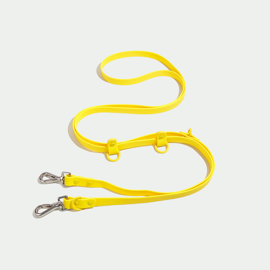 Classic Hands-free Dog Leash