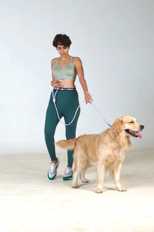 Standard Waterproof Leash
