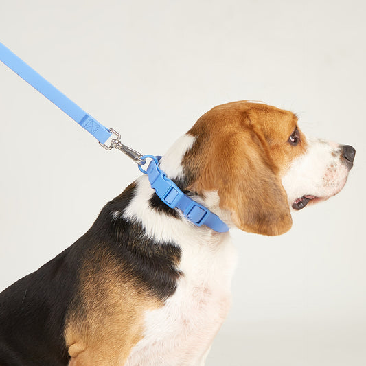 Multipurpose Handsfree Leash