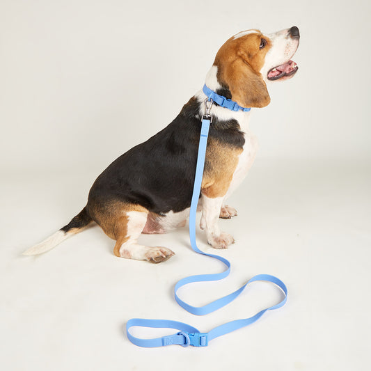 Multipurpose Handsfree Leash