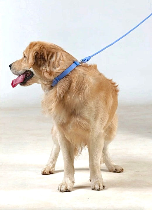 Standard Waterproof Leash