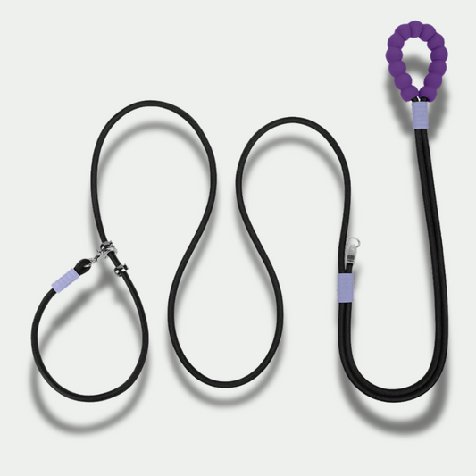 XL Hands-Free Leash