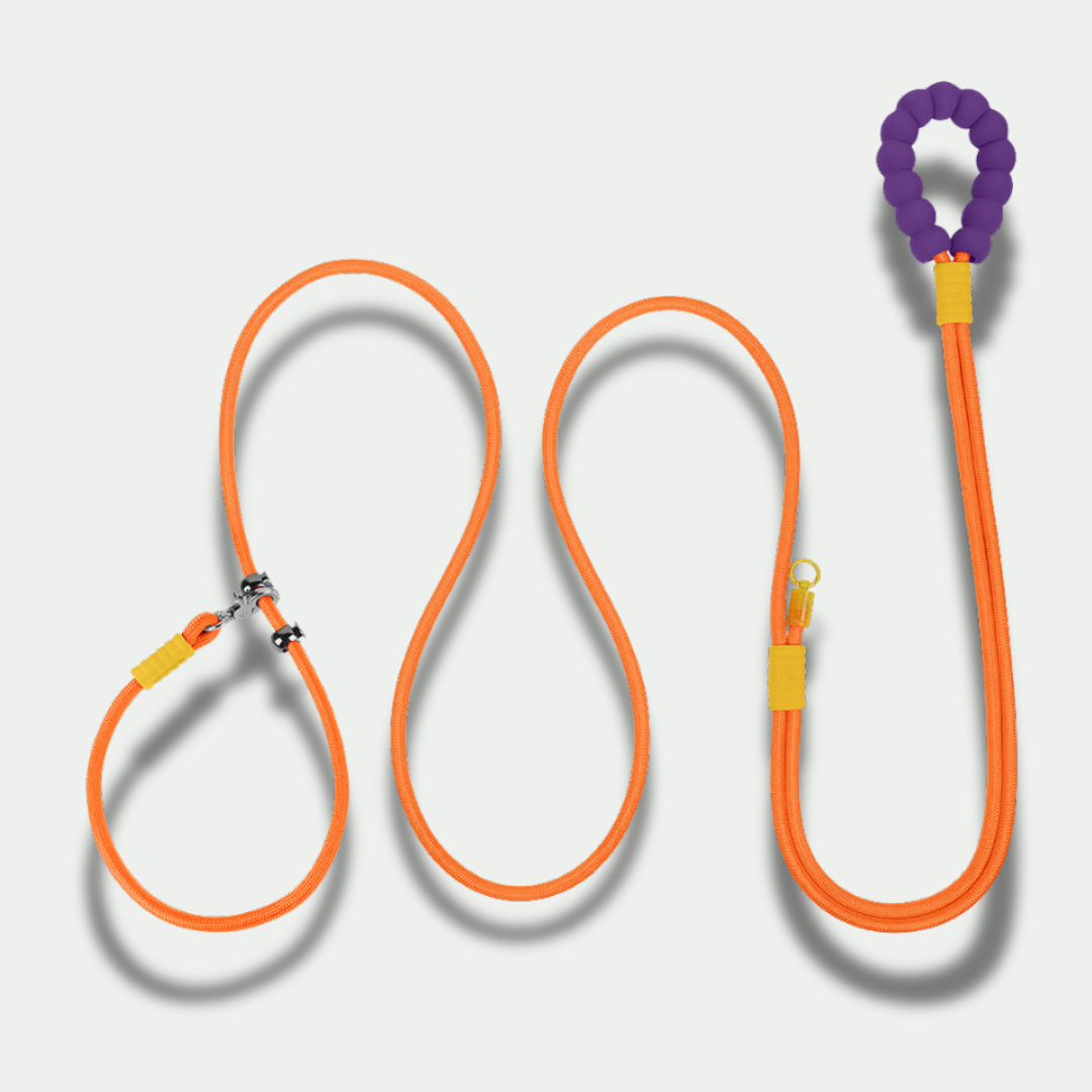 XL Hands-Free Leash