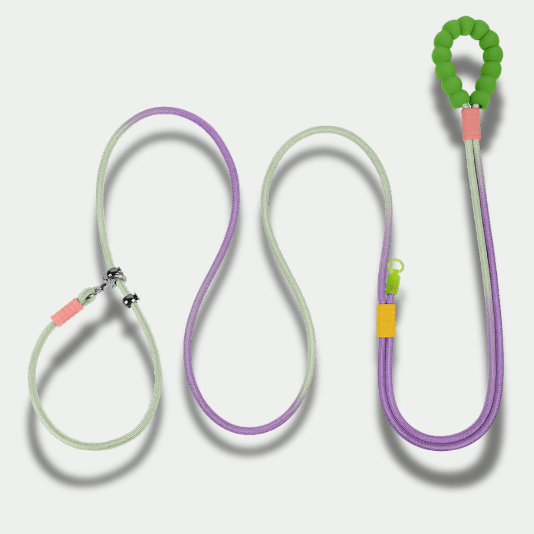 XL Hands-Free Leash