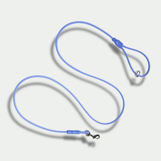 Standard Waterproof Leash