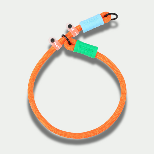 Nylon Collar