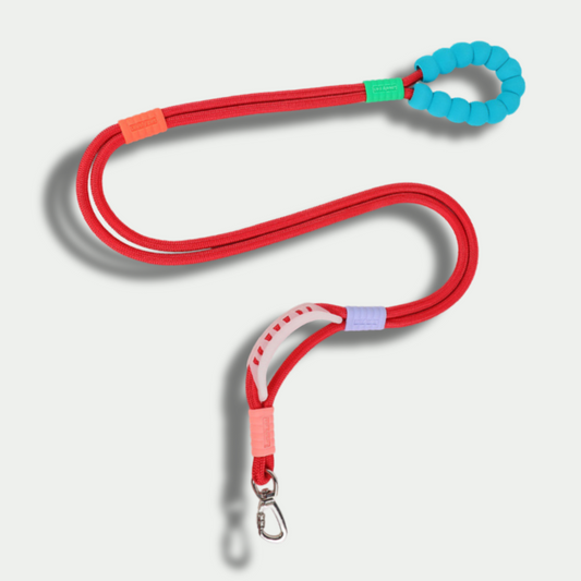 Hands-Free Nylon Leash