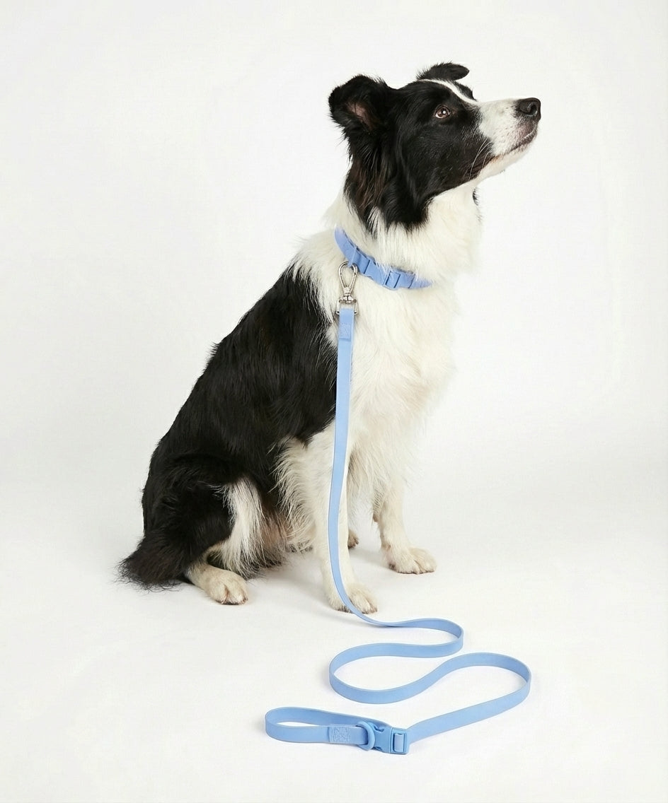 Easy Leash