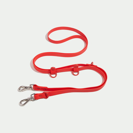 Classic Hands-free Dog Leash